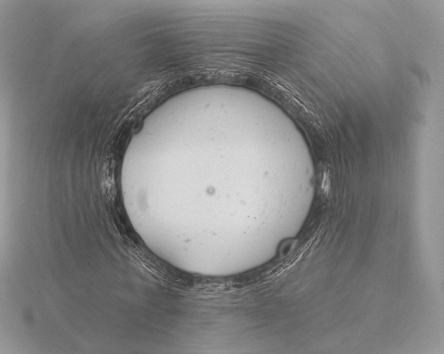 X0000116150771200912071303