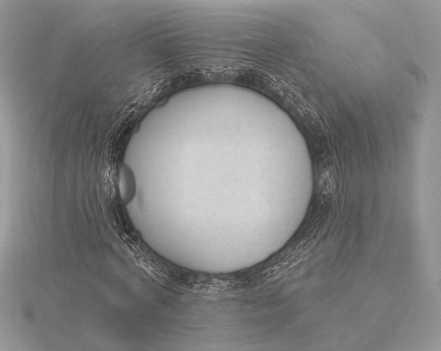 X0000116150772200912071303