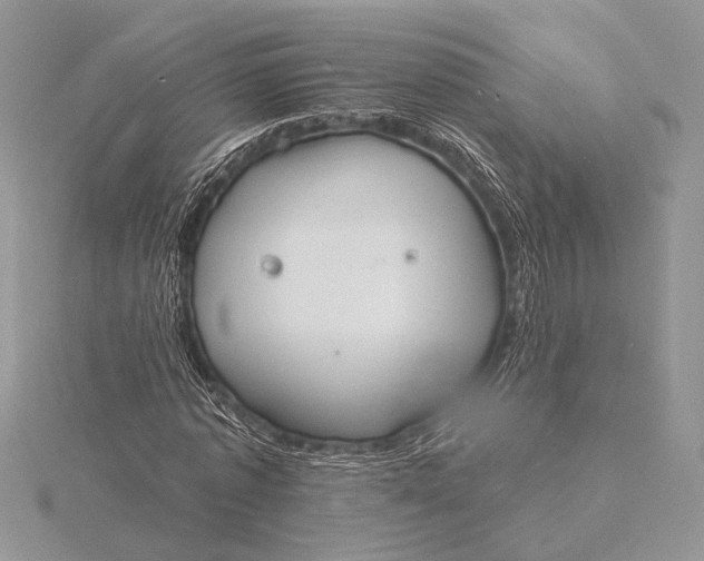 X0000116150773200912071303