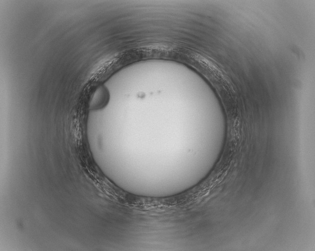 X0000116150774200912071303