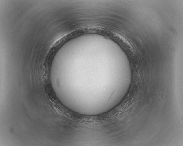 X0000116150775200912071303