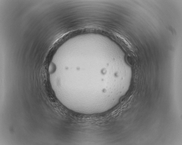 X0000116150776200912071303