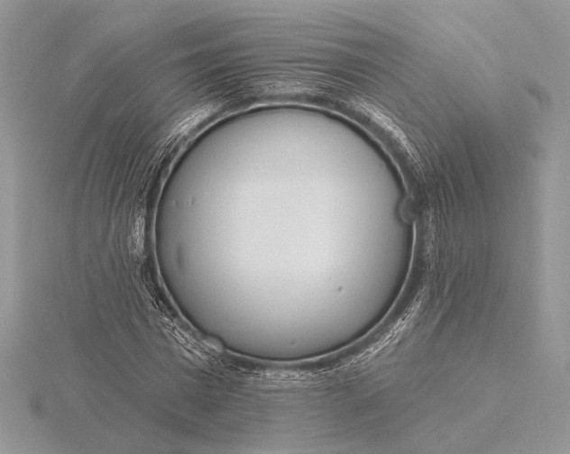 X0000116150777200912071303