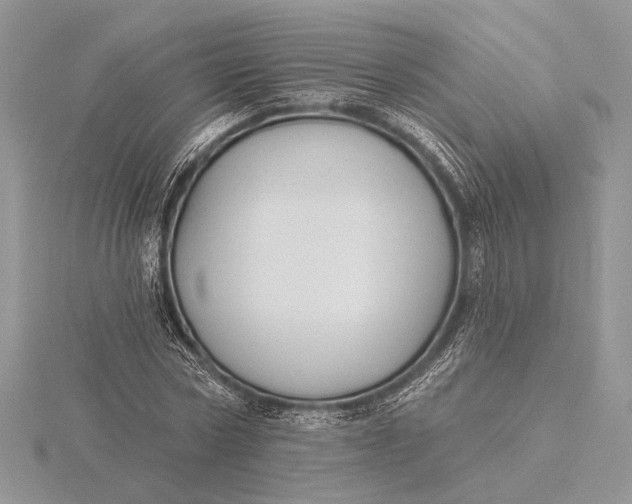 X0000116150778200912071303