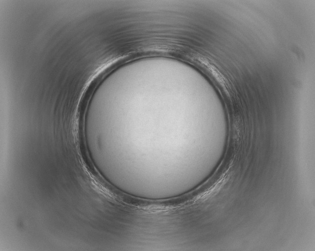 X0000116150779200912071303