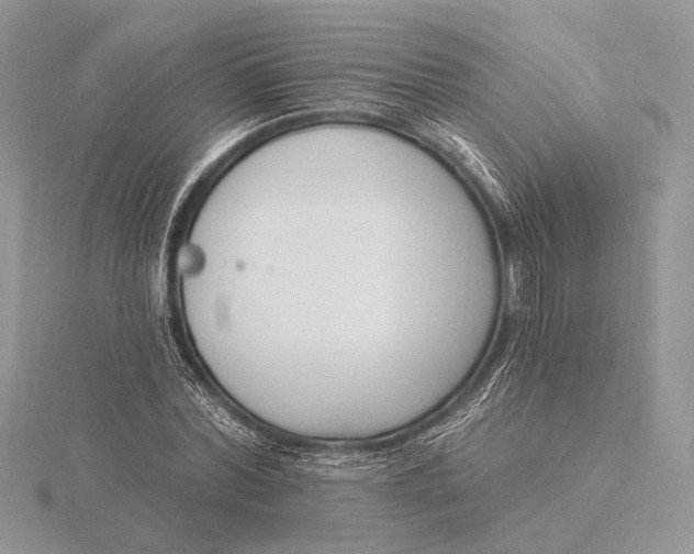 X0000116150780200912071303