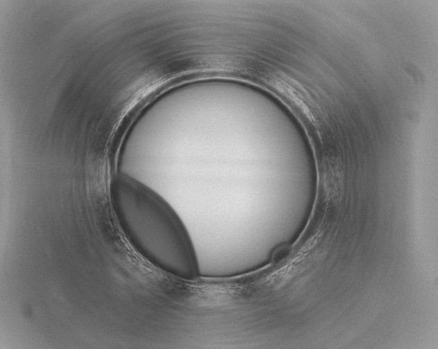 X0000116150781200912071303