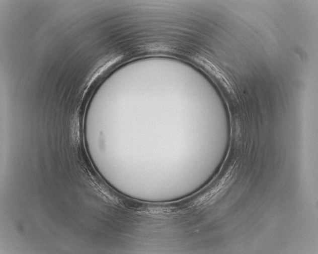 X0000116150782200912071303