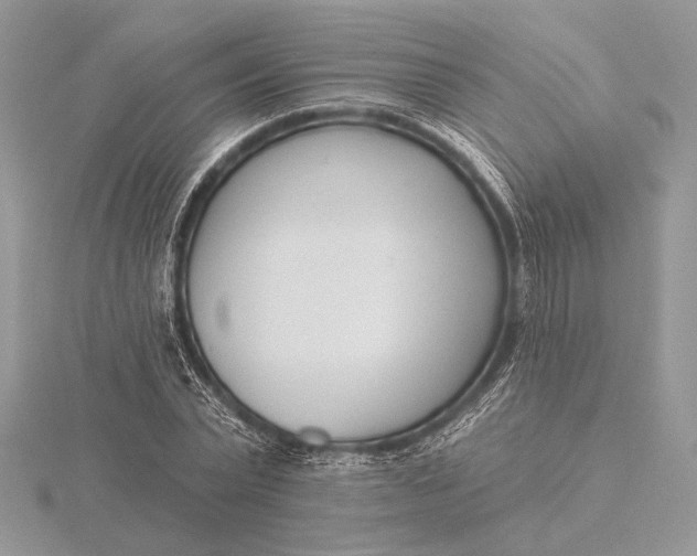 X0000116150783200912071303