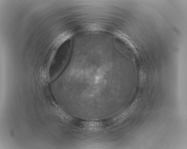 X0000116150785200912071303