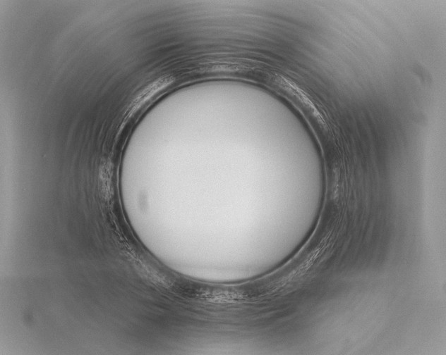 X0000116150786200912071303