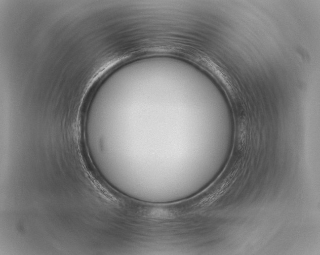 X0000116150787200912071303