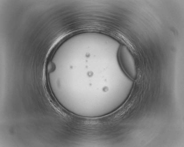 X0000116150788200912071303