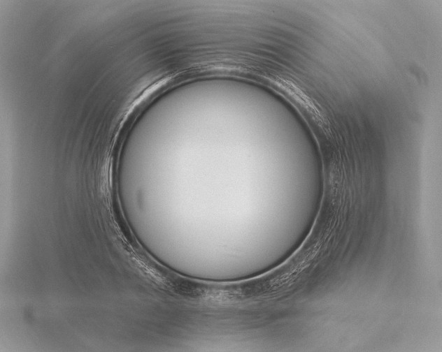 X0000116150790200912071303