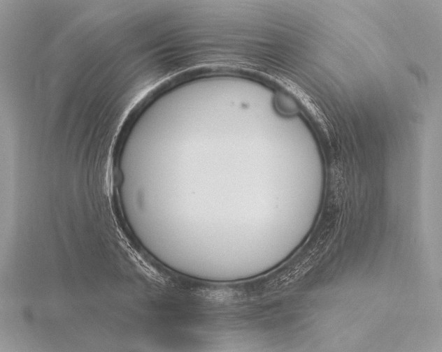 X0000116150791200912071303