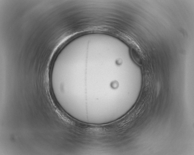 X0000116150792200912071303