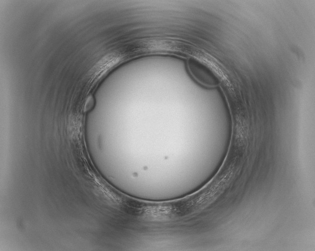 X0000116150793200912071303