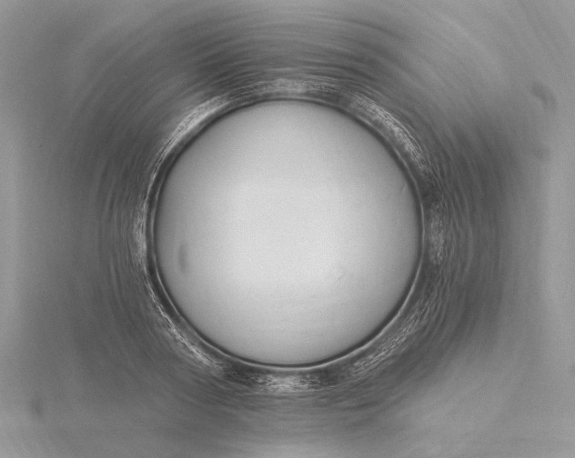 X0000116150794200912071303