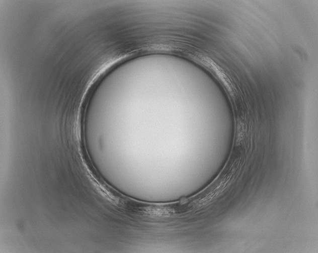 X0000116150795200912071303