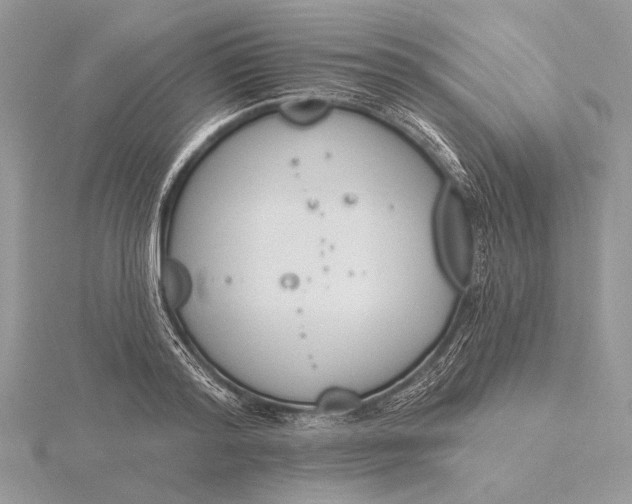 X0000116150796200912071303