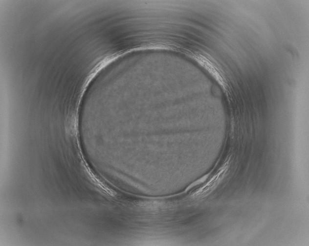 X0000116150797200912071303