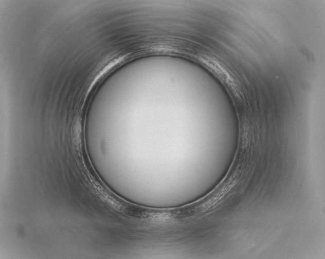 X0000116150798200912071303