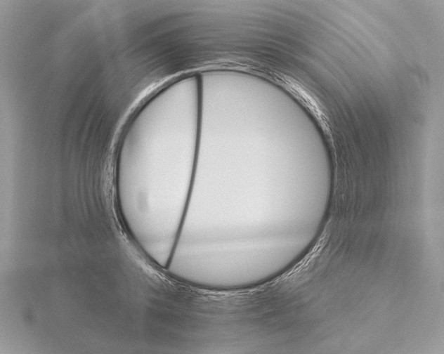 X0000116150800200912071303