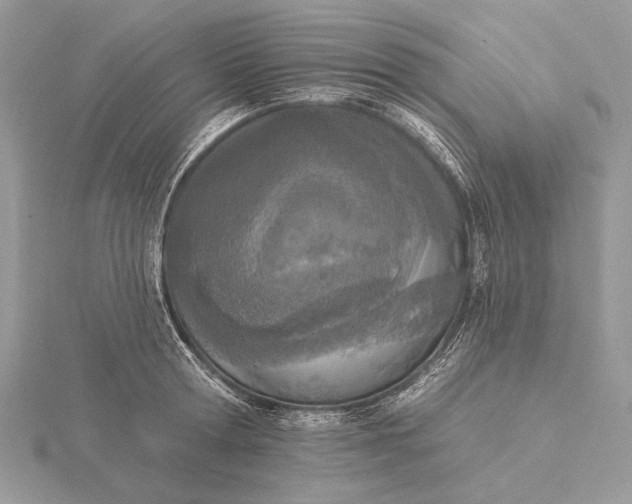 X0000116150802200912071302