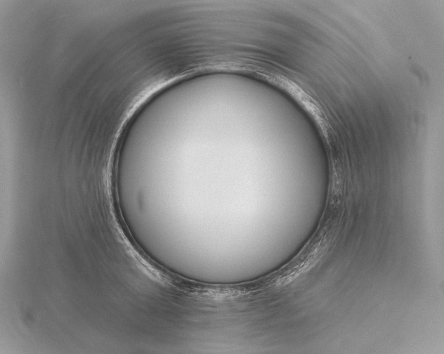 X0000116150803200912071302