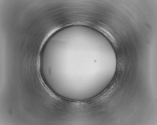 X0000116150804200912071302