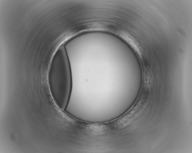 X0000116150805200912071302