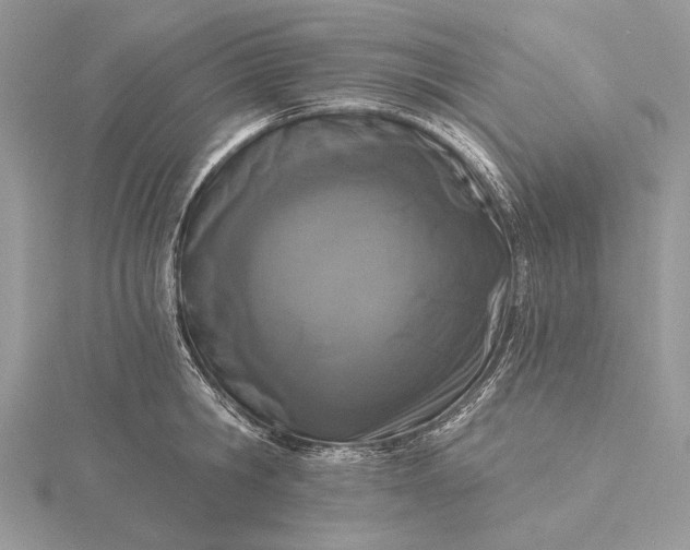 X0000116150806200912071302