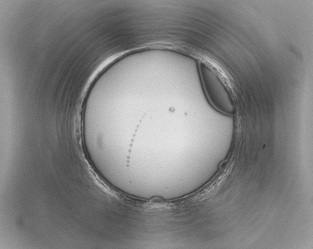 X0000116150808200912071302