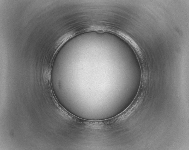 X0000116150809200912071302