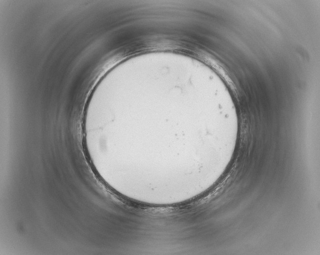 X0000116150810200912071302