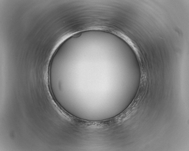 X0000116150811200912071302