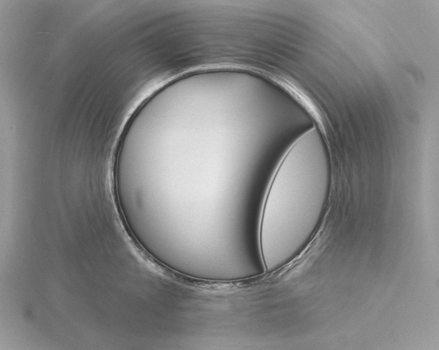 X0000116150813200912071302