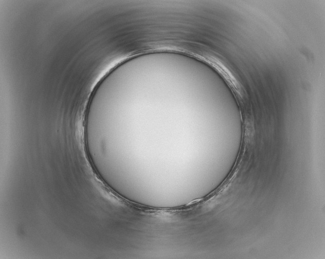 X0000116150814200912071302