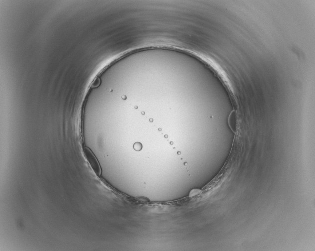 X0000116150815200912071302