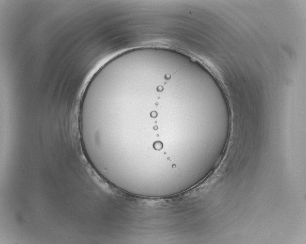 X0000116150816200912071302