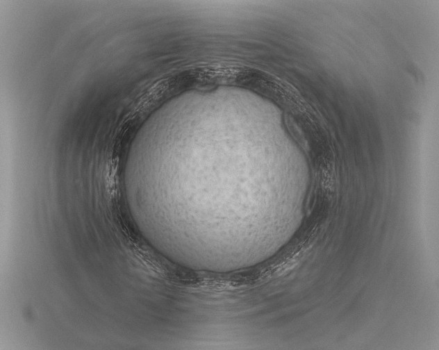 X0000116150818200912071302