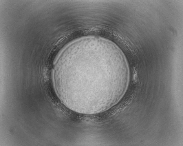 X0000116150819200912071302