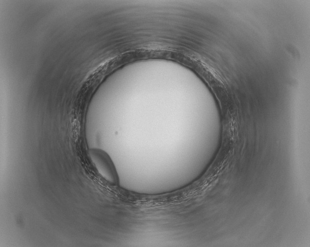 X0000116150821200912071302