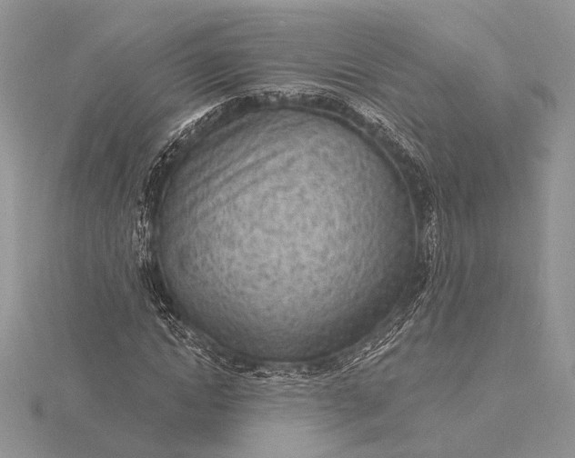 X0000116150822200912071302