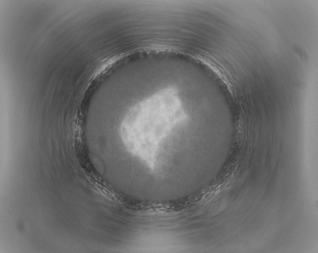 X0000116150823200912071302