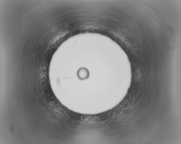 X0000116150824200912071302