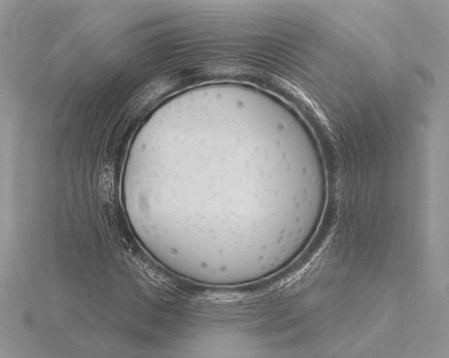 X0000116150825200912071302