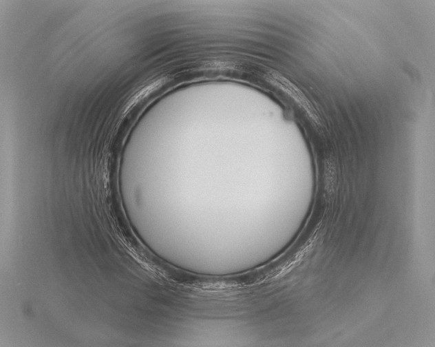 X0000116150826200912071302