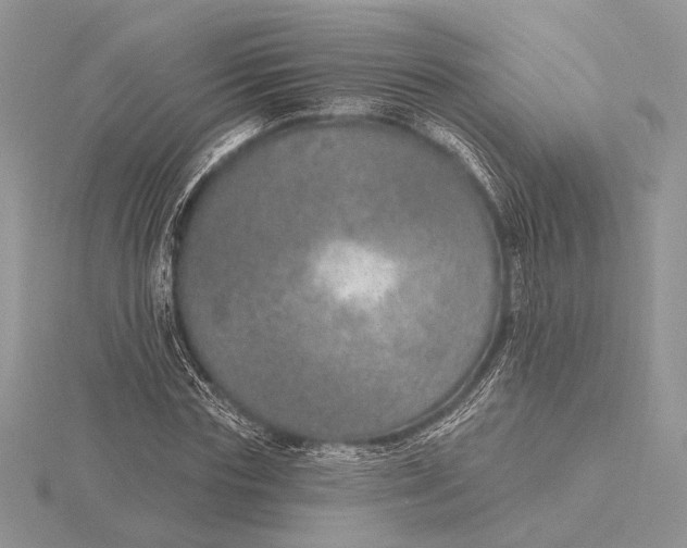 X0000116150827200912071302