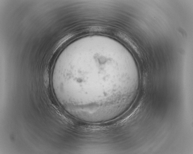 X0000116150829200912071302